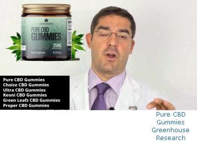 Pure CBD Gummies Budget